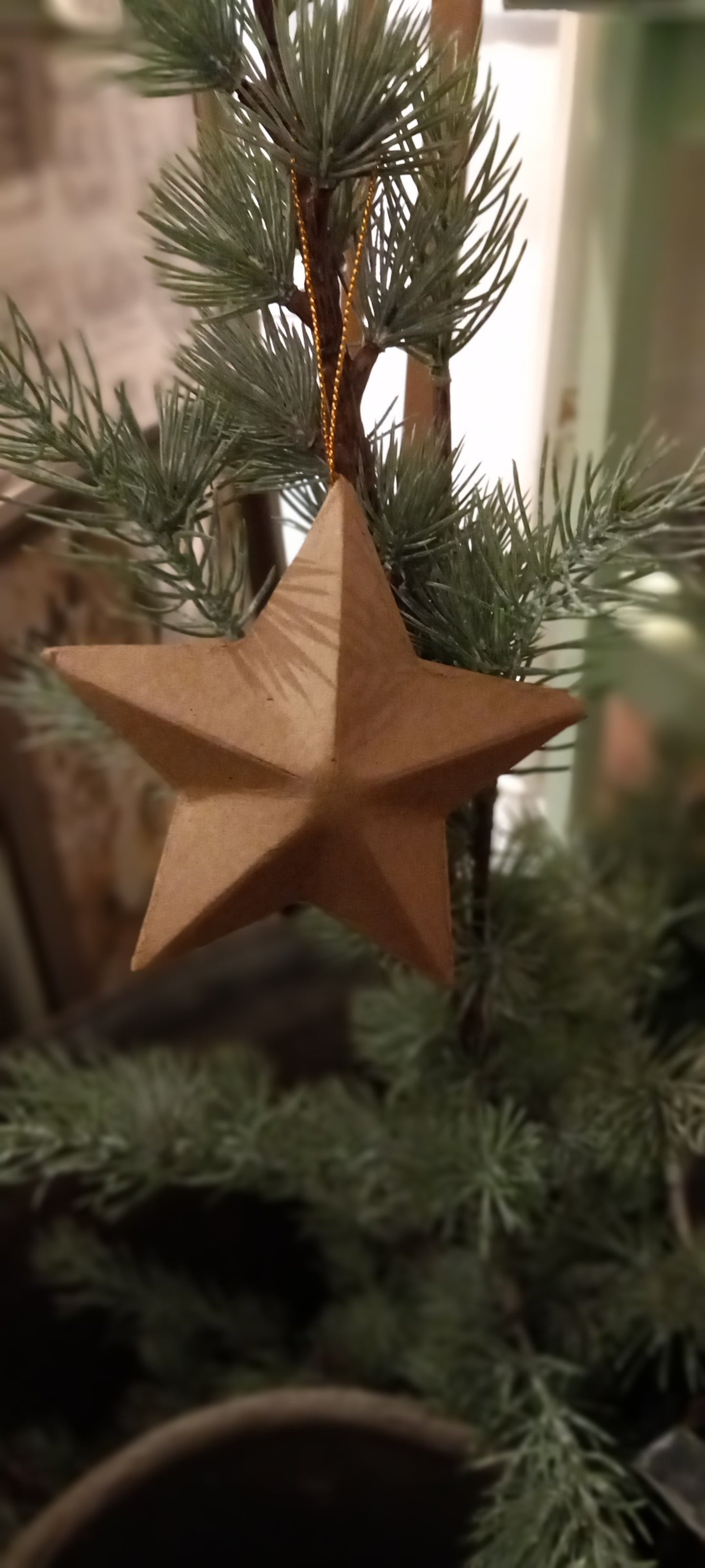 Pap stjerne på snor