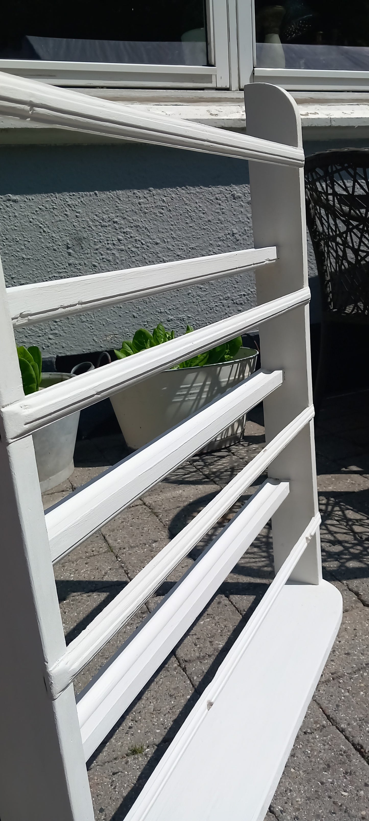 Tallerkenrække, cremefarvet