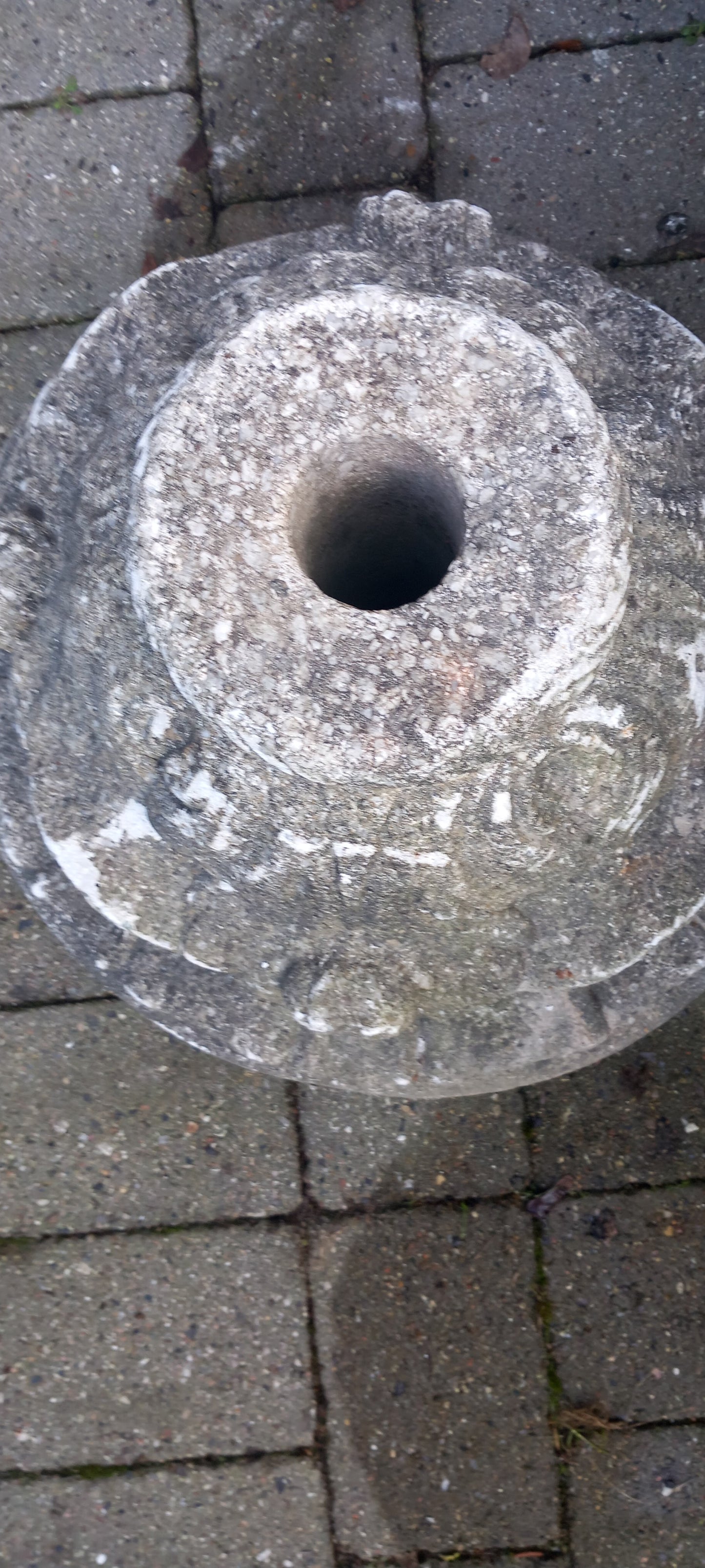 Parasolfod