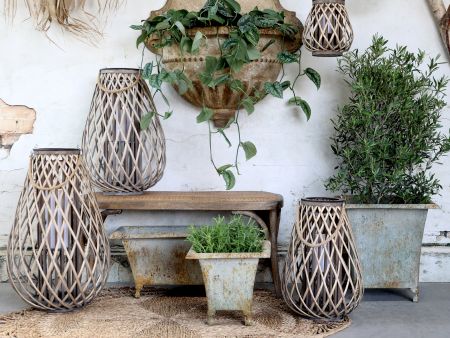 Fransk Bænk m. fletsæde, natur