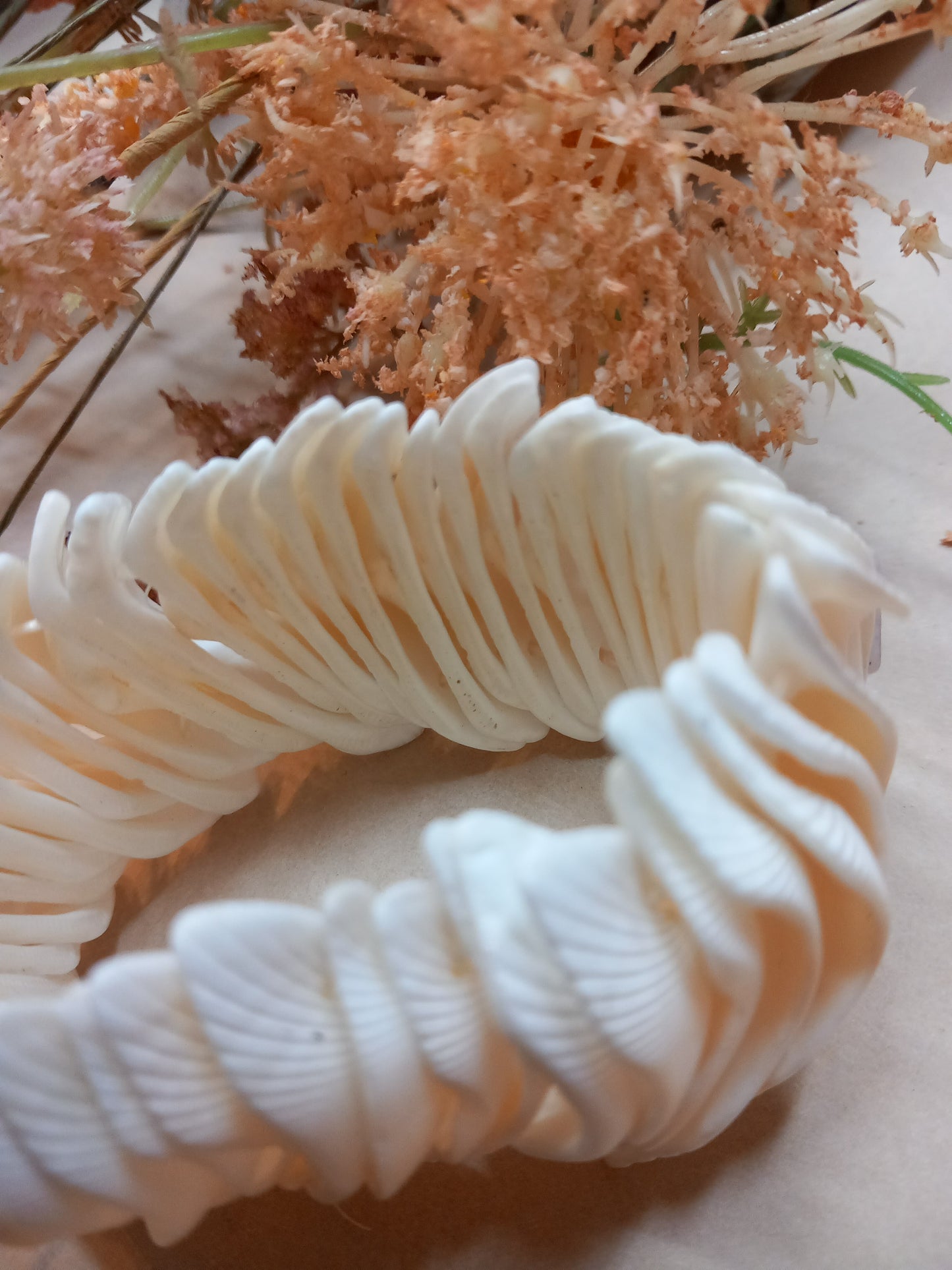 Armbånd, muslingeskaller