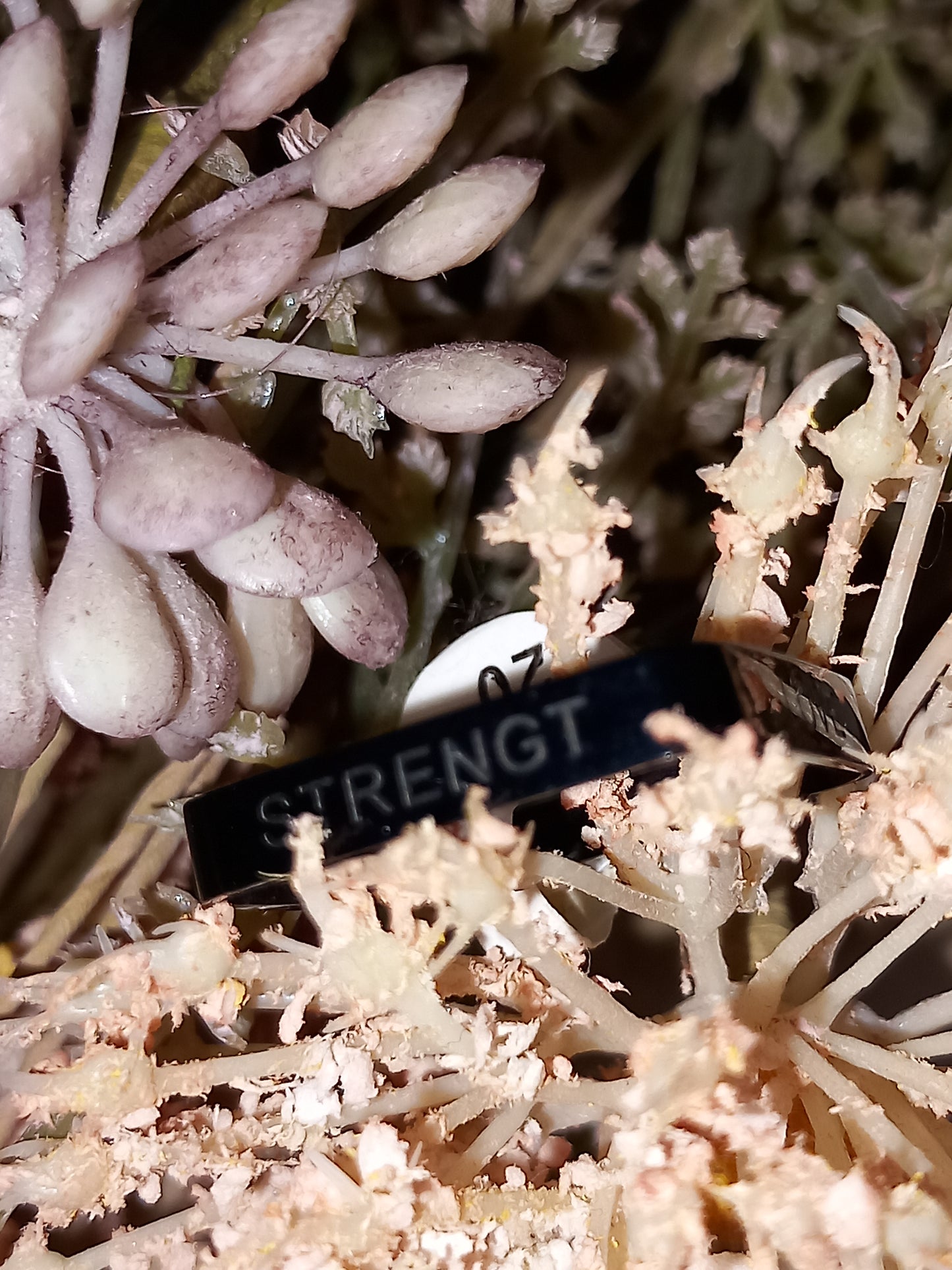 Ring, sort med tekst