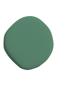 Forrest green