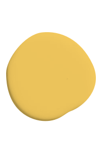 Warm yellow