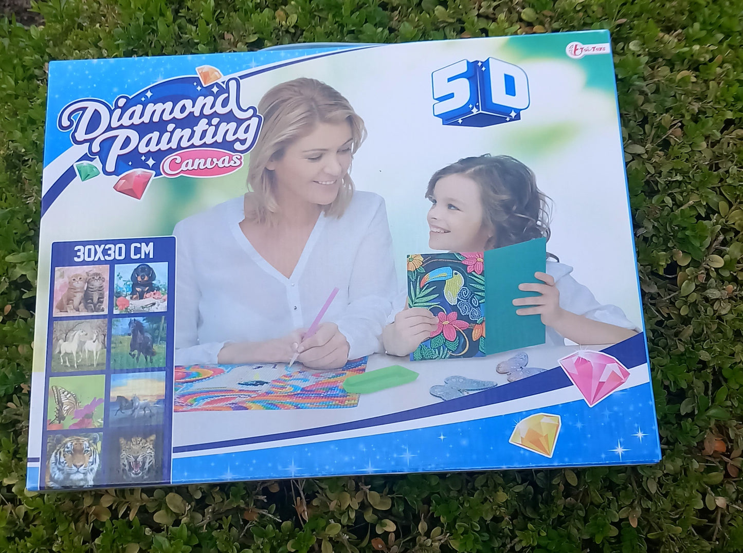 Diamond paint 5D, forskellige motiver