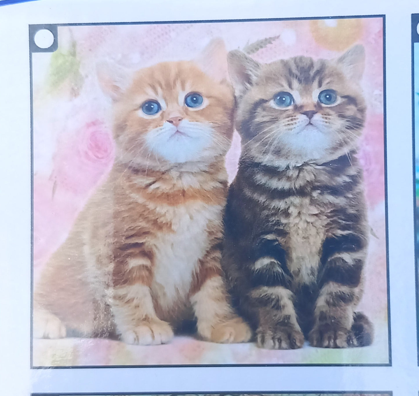 Diamond paint 5D, forskellige motiver