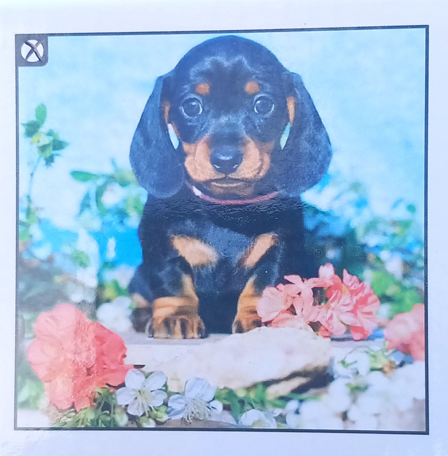 Diamond paint 5D, forskellige motiver