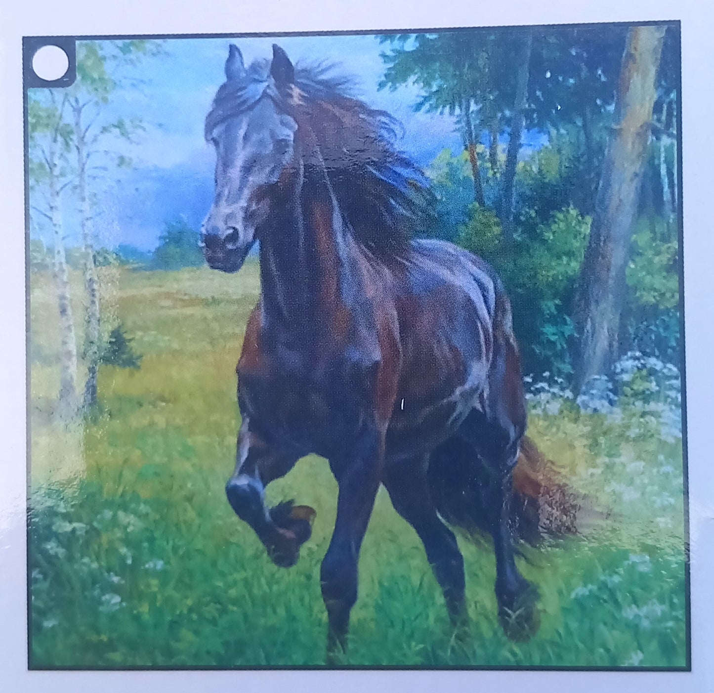 Diamond paint 5D, forskellige motiver