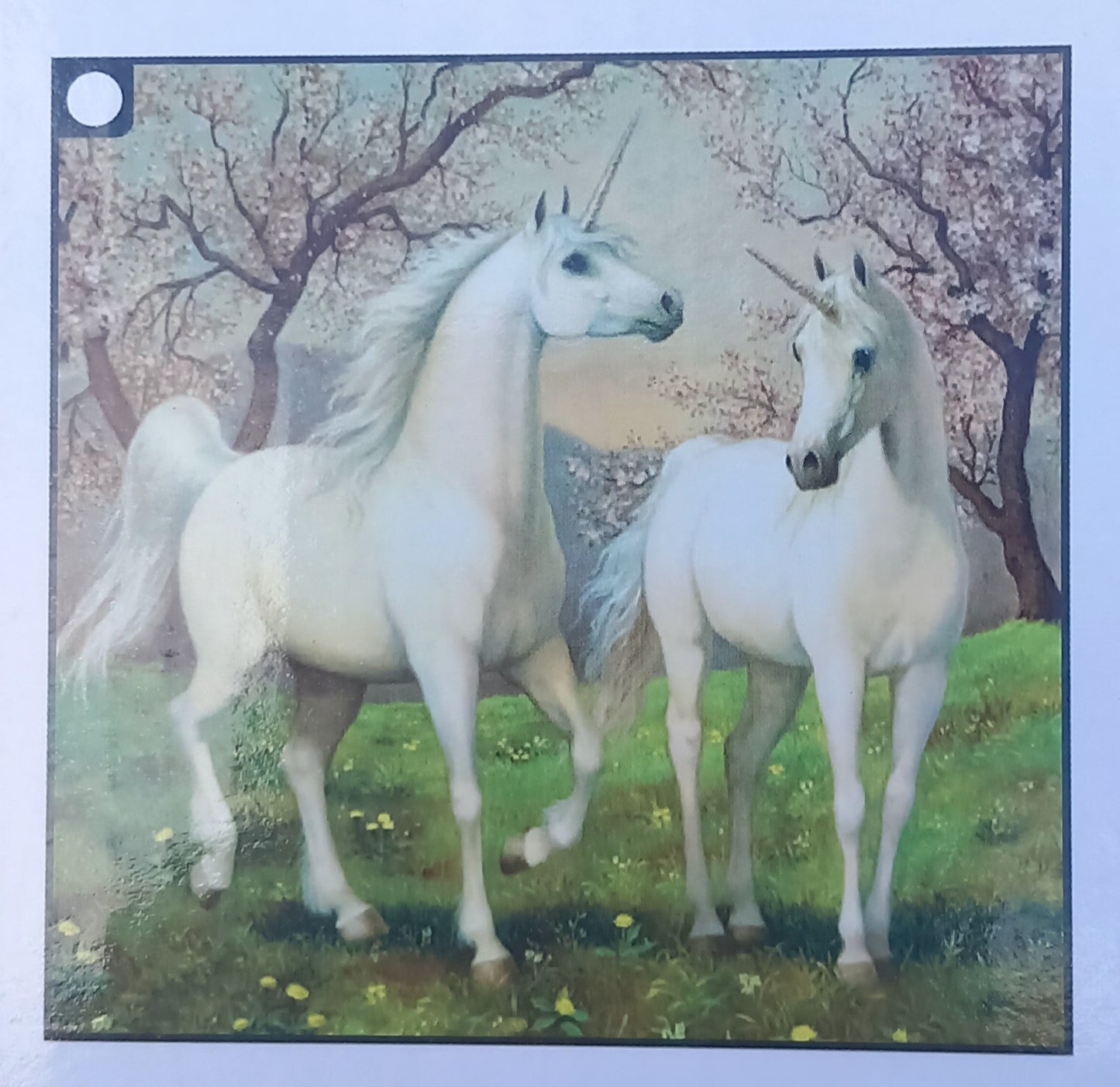 Diamond paint 5D, forskellige motiver