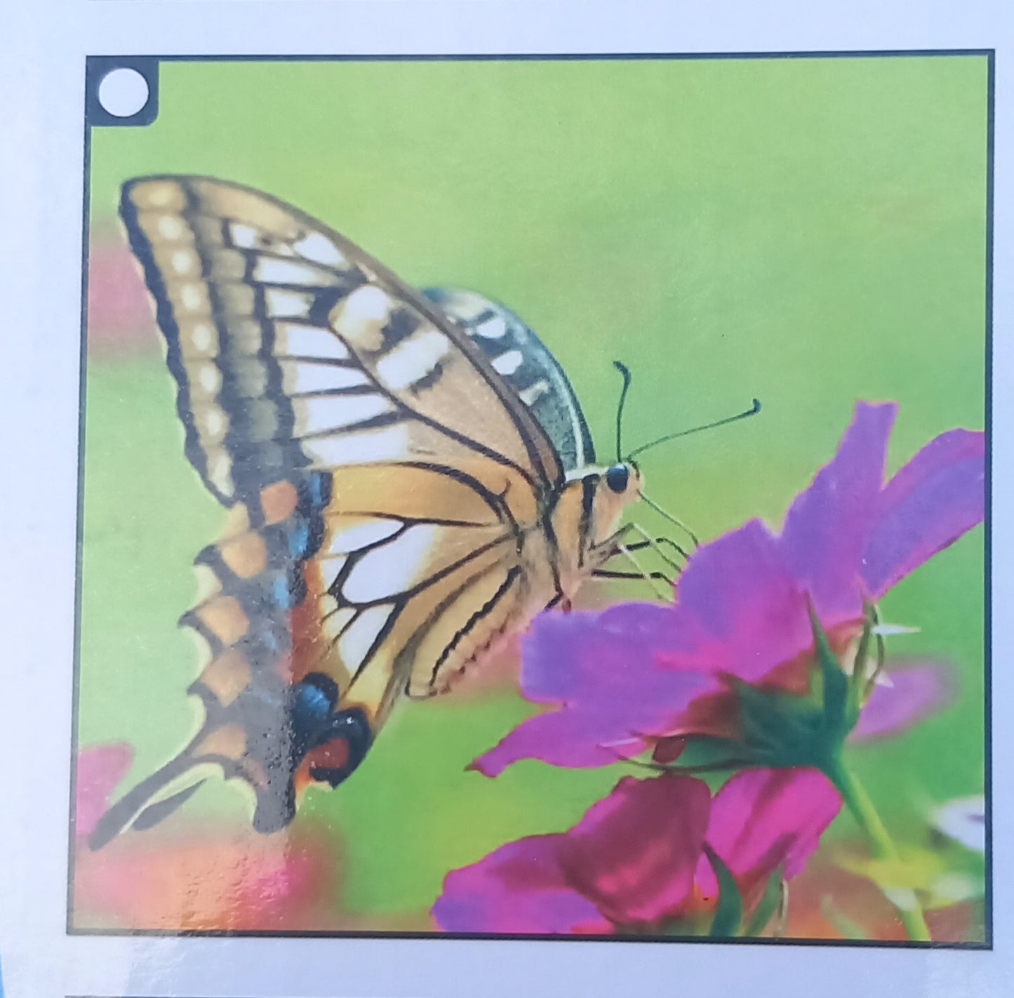 Diamond paint 5D, forskellige motiver