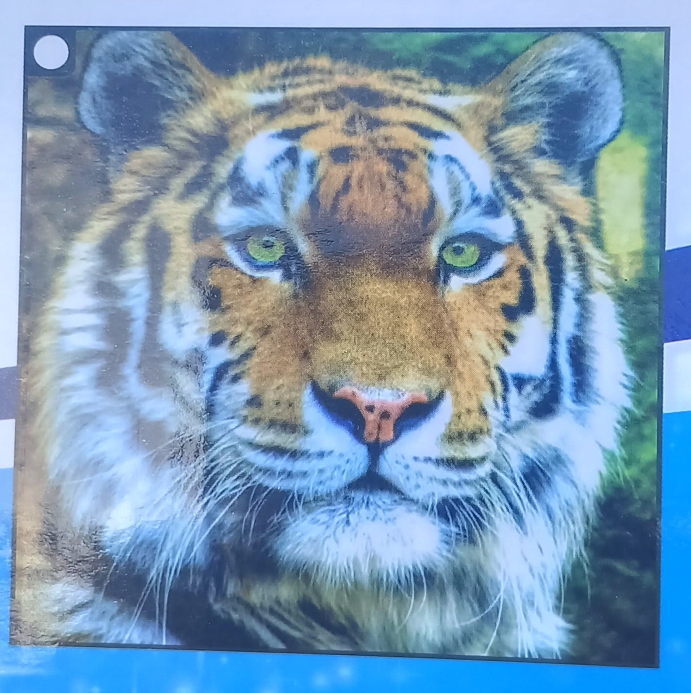 Diamond paint 5D, forskellige motiver