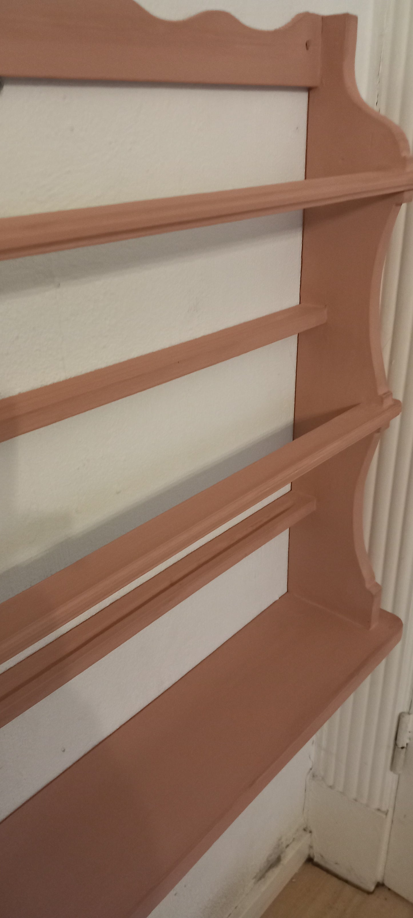 Tallerkenrække, rose