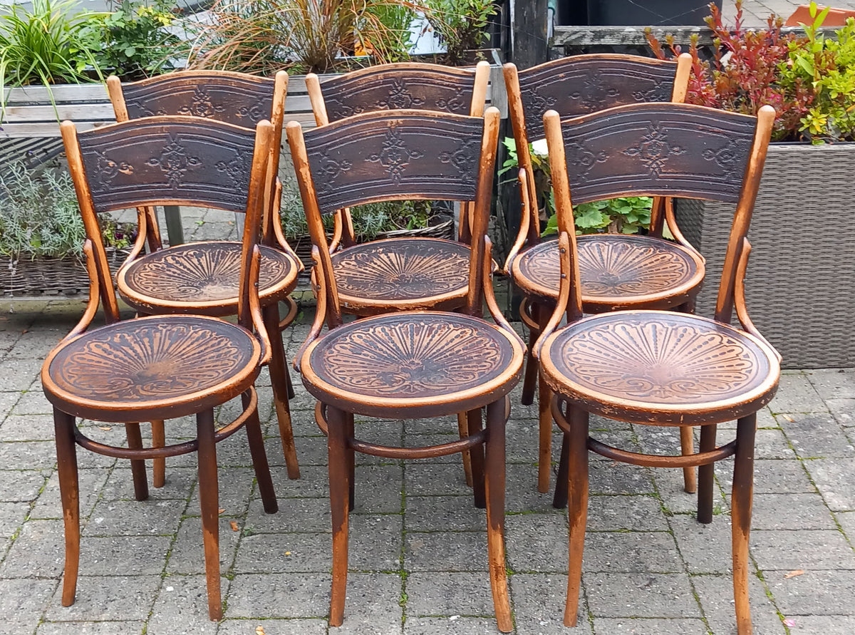 6 stk Thonet stole
