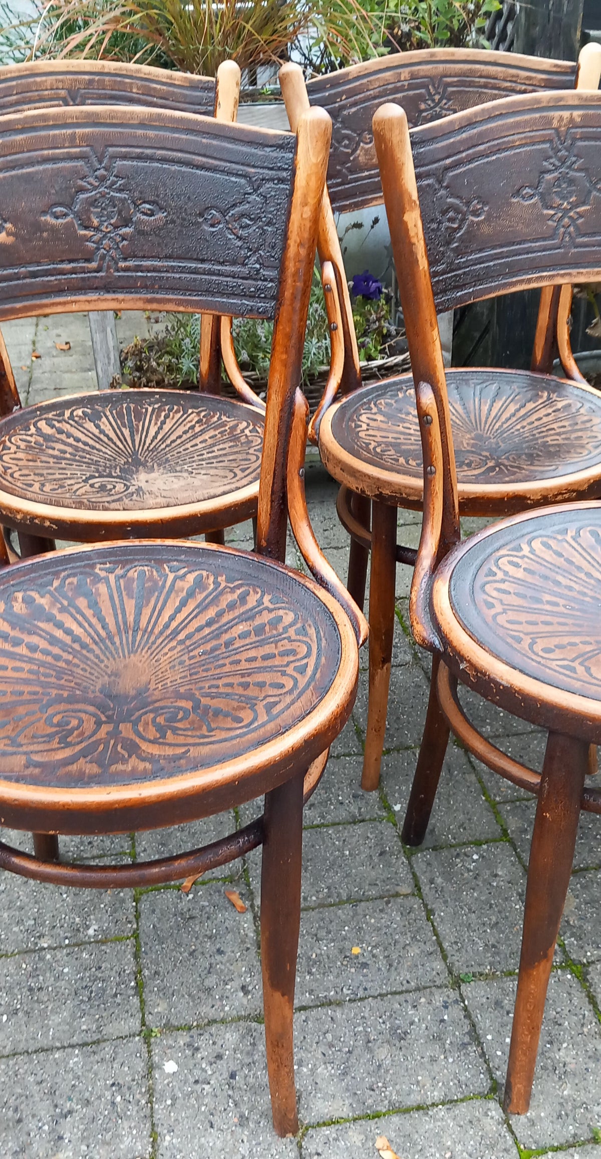 6 stk Thonet stole