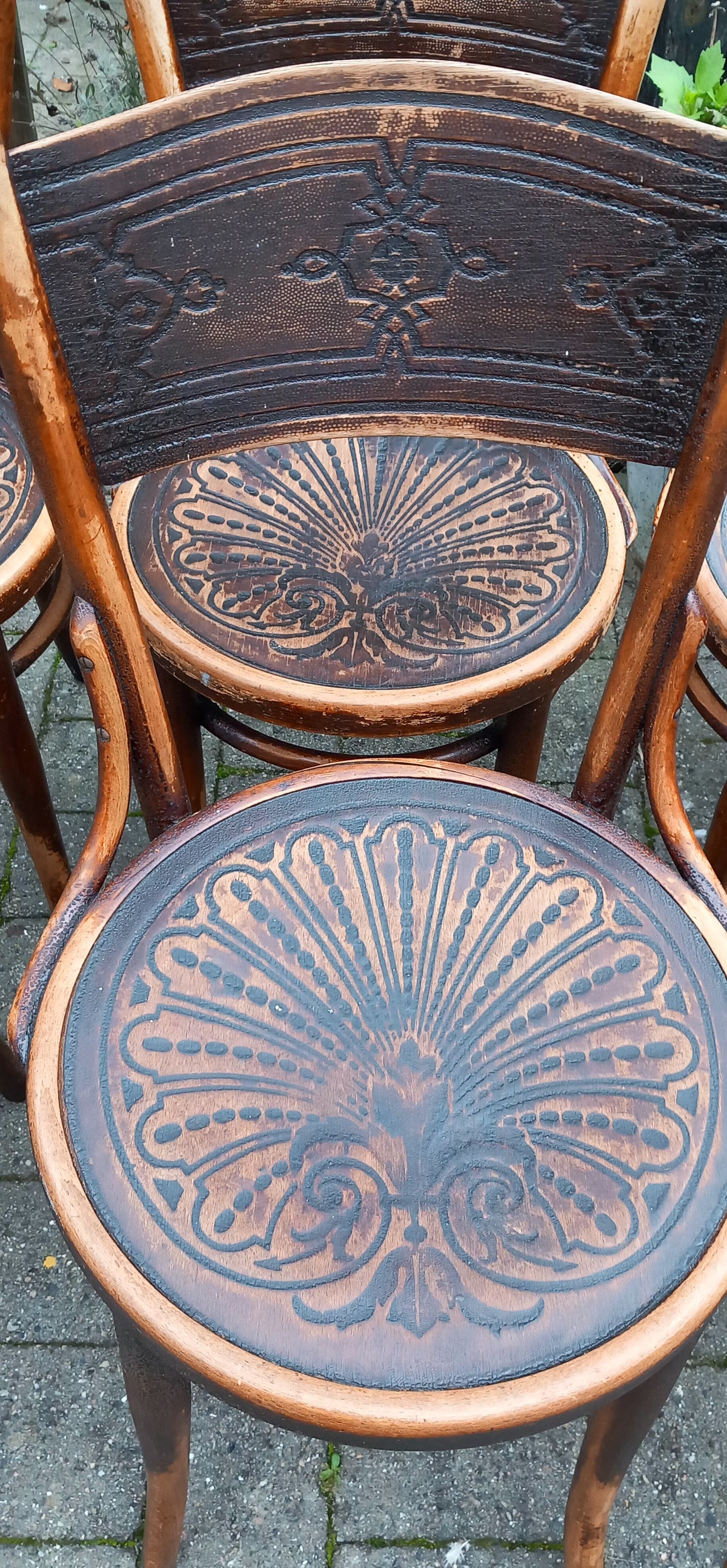 6 stk Thonet stole