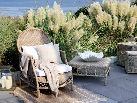 Fransk Stol i flet, natur