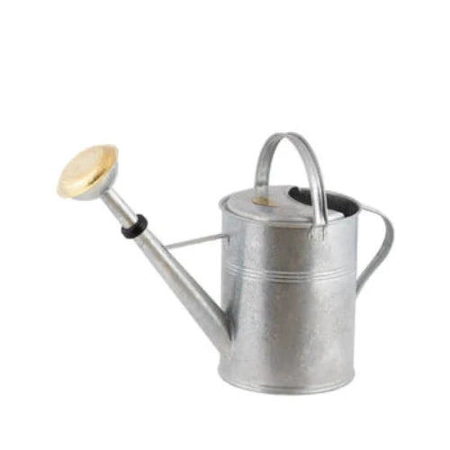 Vandkande, zink, 9 L